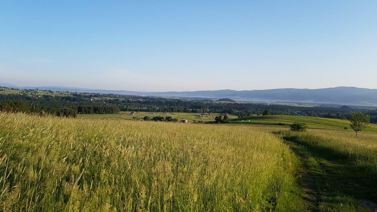 Antonowka Villa Trybsz Bagian luar foto