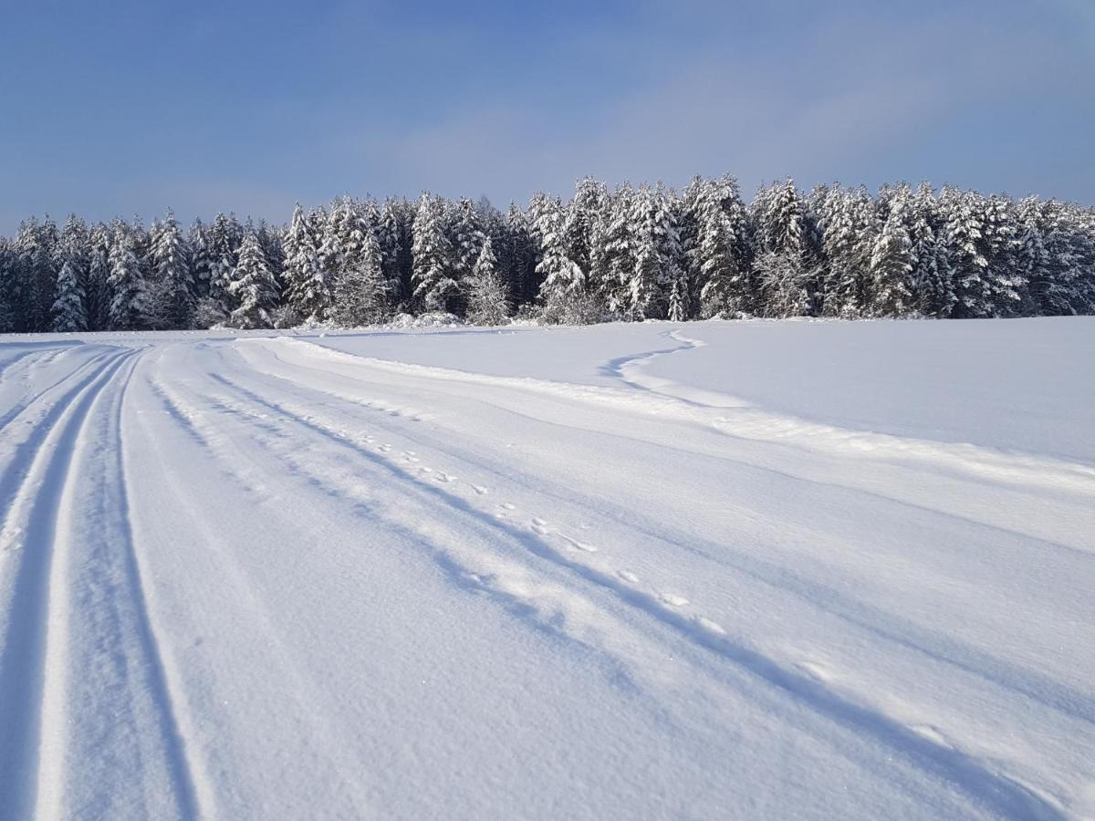 Antonowka Villa Trybsz Bagian luar foto