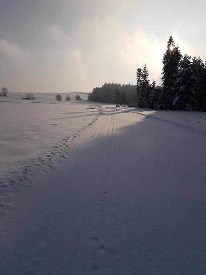 Antonowka Villa Trybsz Bagian luar foto